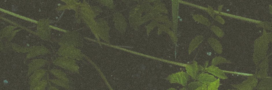 stoneflaws's profile banner image