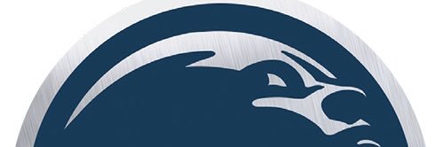 FLABlueNative's profile banner image