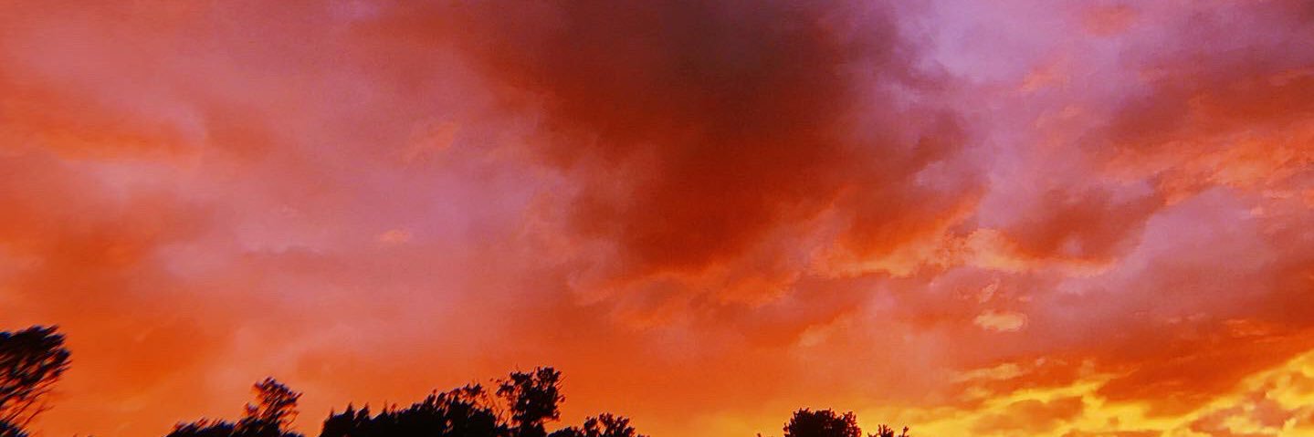 ahhsavannah's profile banner image