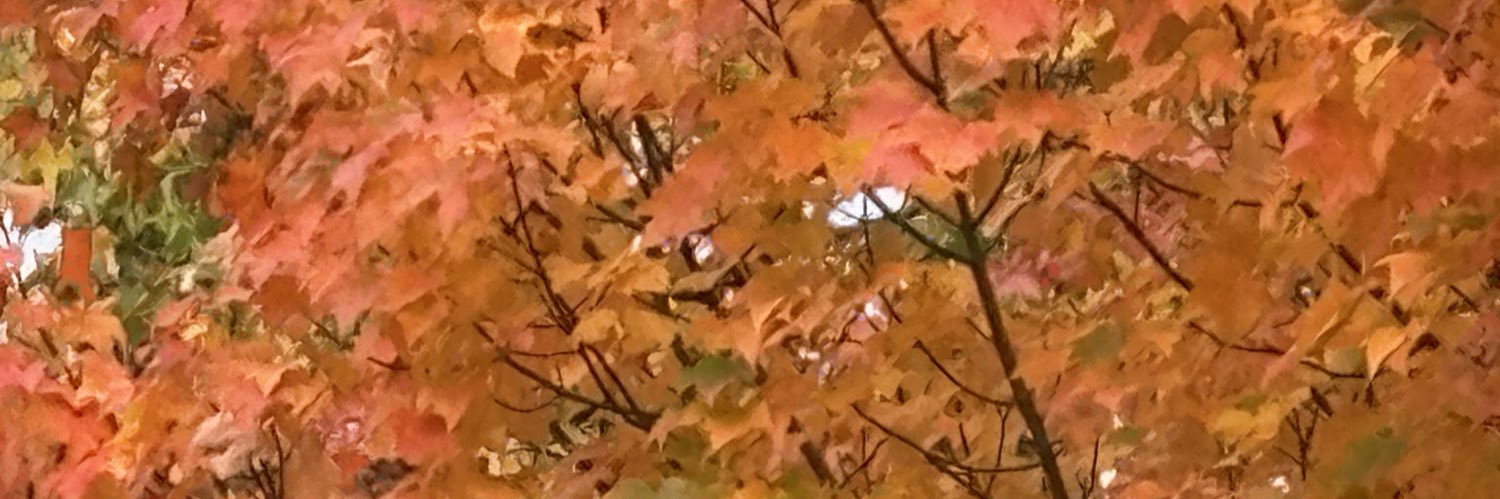 Jason F. 🇺🇦 banner