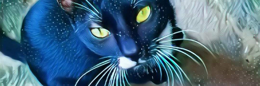 dimeDPaula's profile banner image