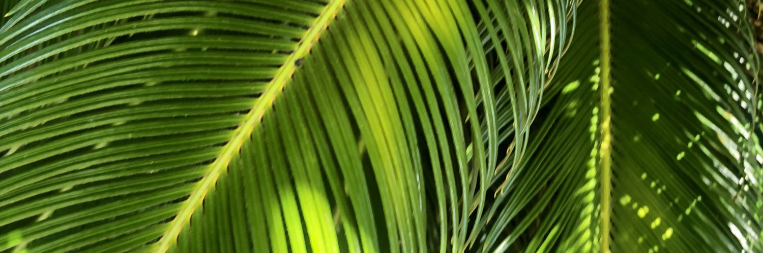 EmilyHerrlich's profile banner image