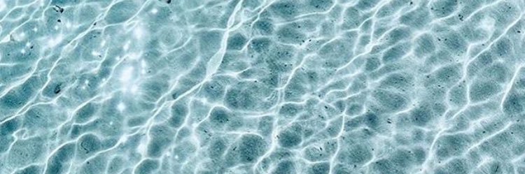 MissWalkerNSW's profile banner image