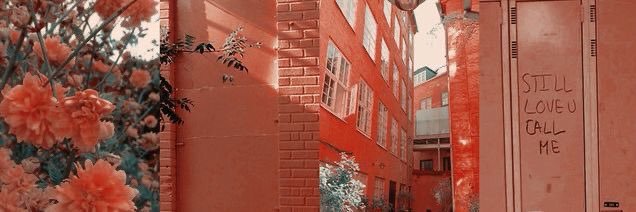 pdcsvgomez's profile banner image
