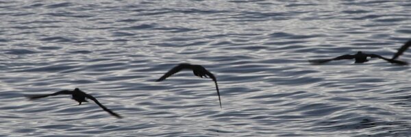 JamesDanderfer Profile Banner