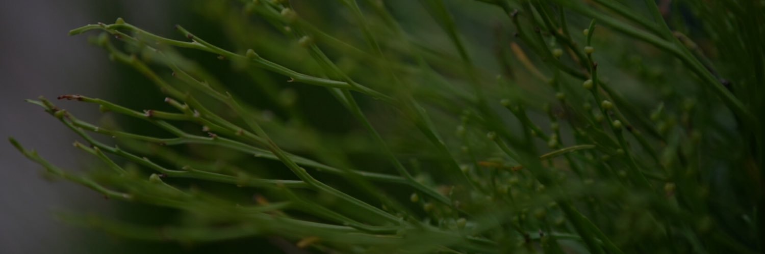 heysnapshere's profile banner image