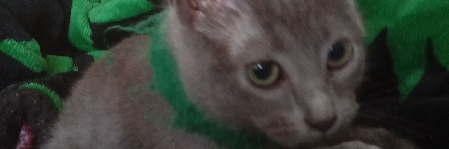 gAbo_SW's profile banner image
