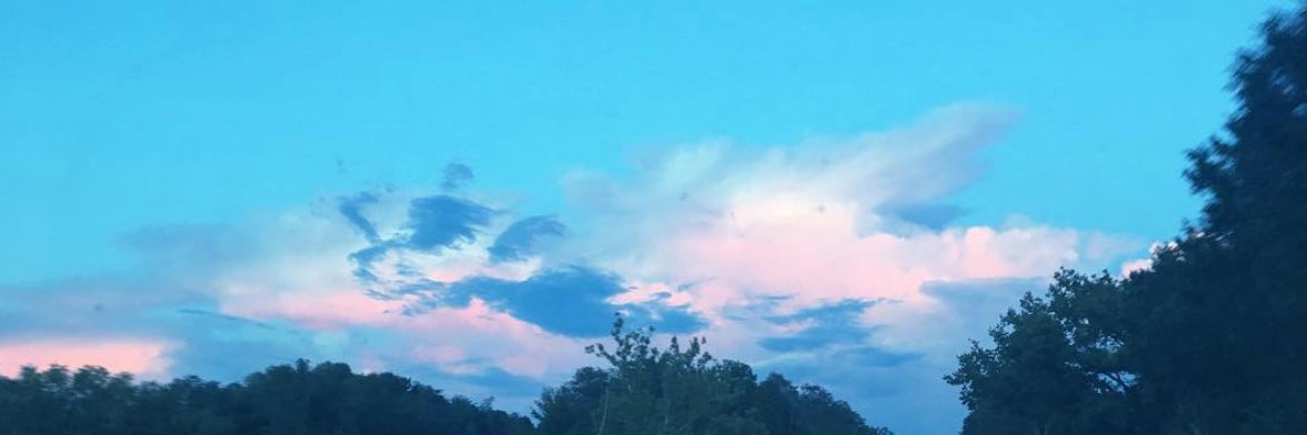 Shawna_Felkins's profile banner image