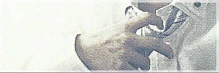 cpz__'s profile banner image