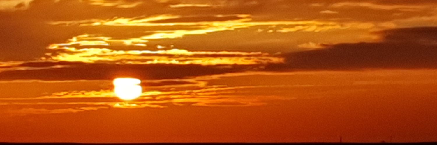 OOrhydeea's profile banner image