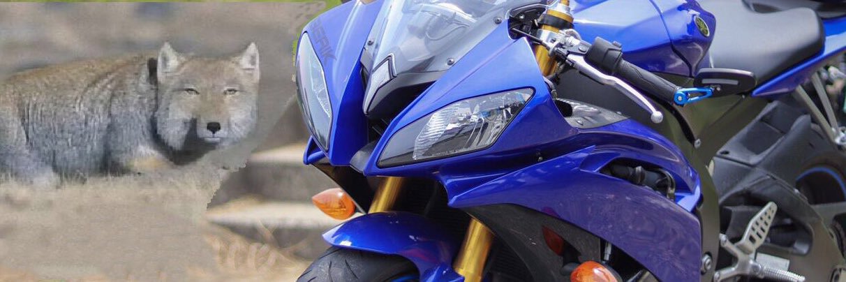 YZF__RR's profile banner image
