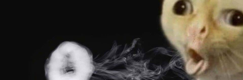 esmareana's profile banner image