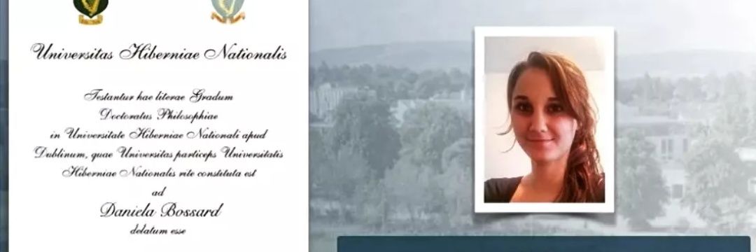daniela_bossard's profile banner image