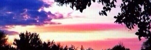 Fulchie6's profile banner image