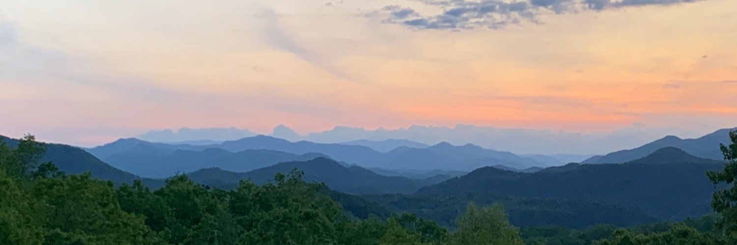 toneszizzo's profile banner image