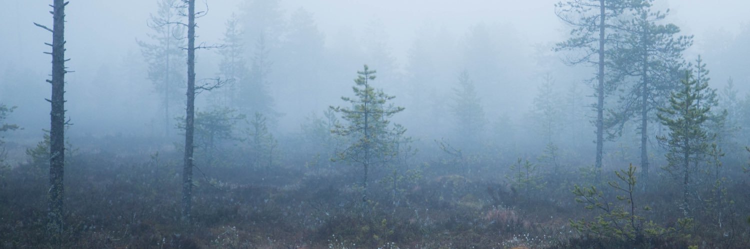 Mourning in America banner