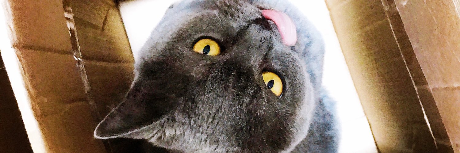 ozakng's profile banner image