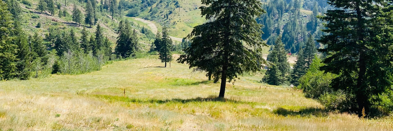 filthycasualmtb's profile banner image
