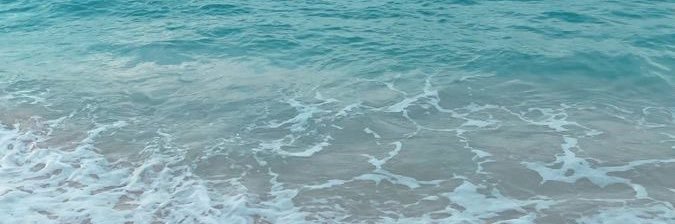solbordogna's profile banner image