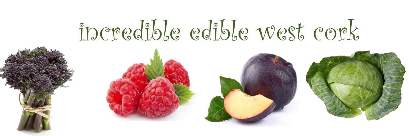 EdibleWestCork's profile banner image