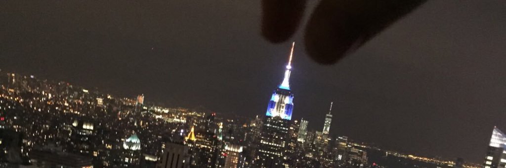 Gillian Jenkins banner