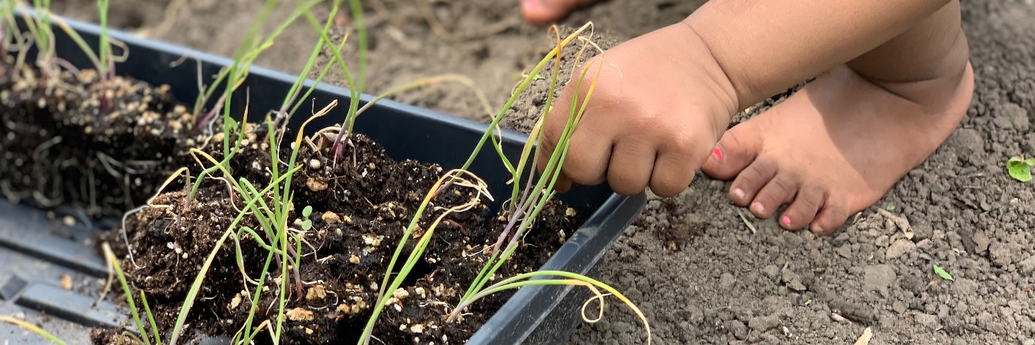 Appetite For Change banner