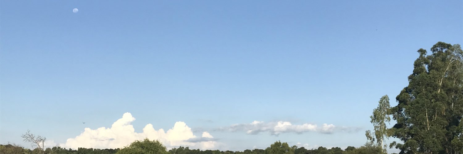 ilovepassta's profile banner image