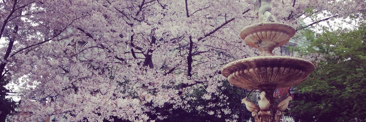 kayo_5_'s profile banner image