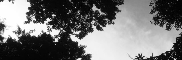 slperezs07's profile banner image