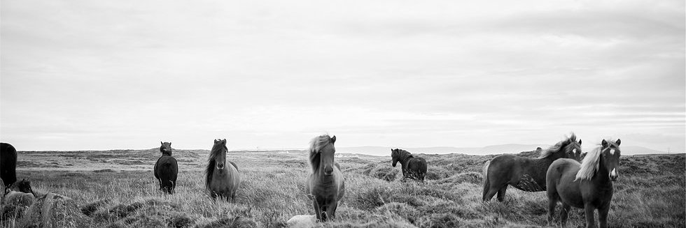 ohmymares's profile banner image