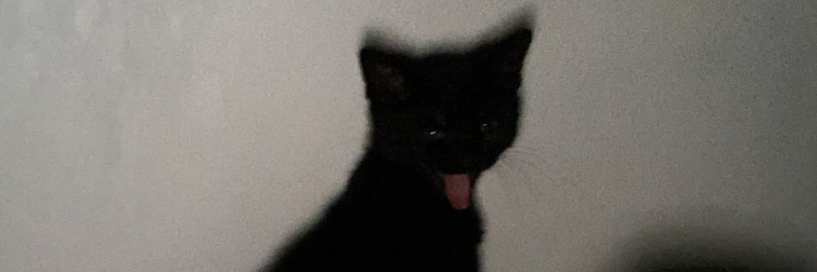 lorrissvl's profile banner image