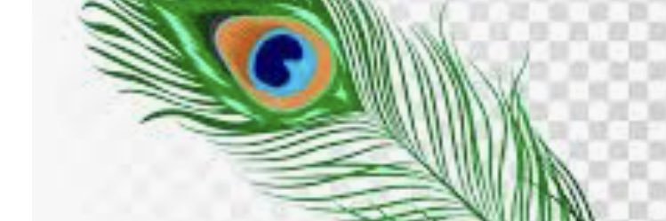 SandeepSood2002's profile banner image