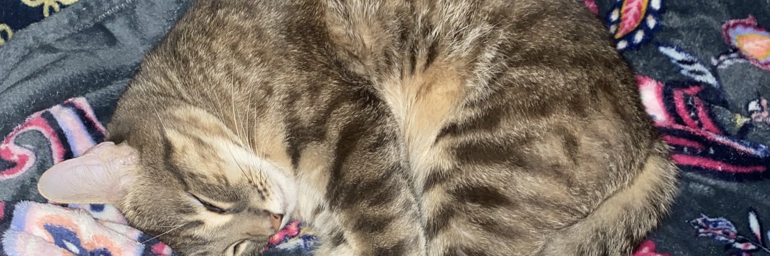 nelllllll_'s profile banner image