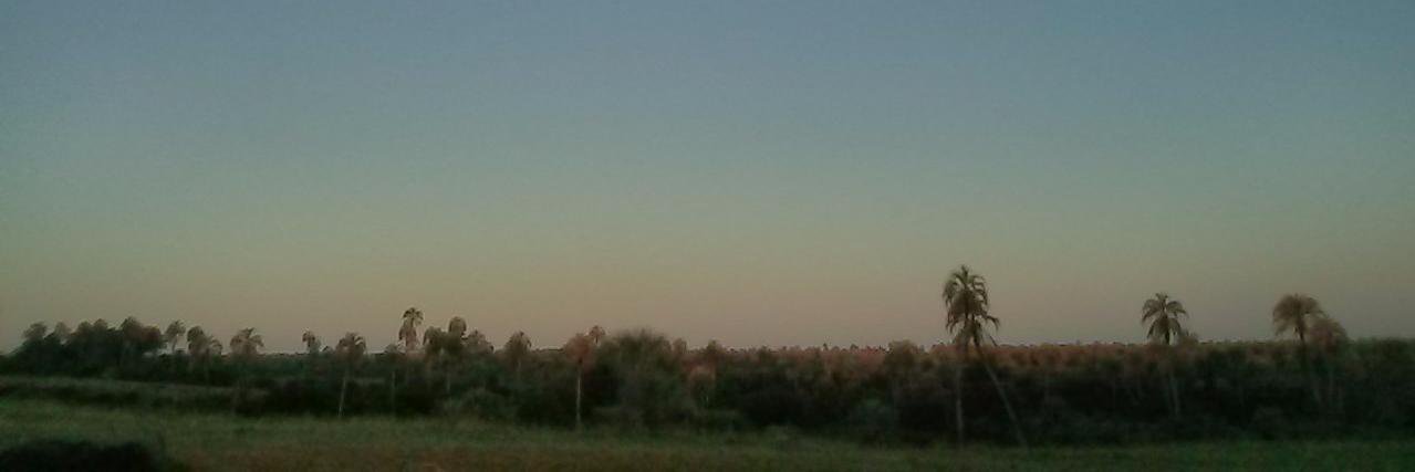 agrimbau's profile banner image