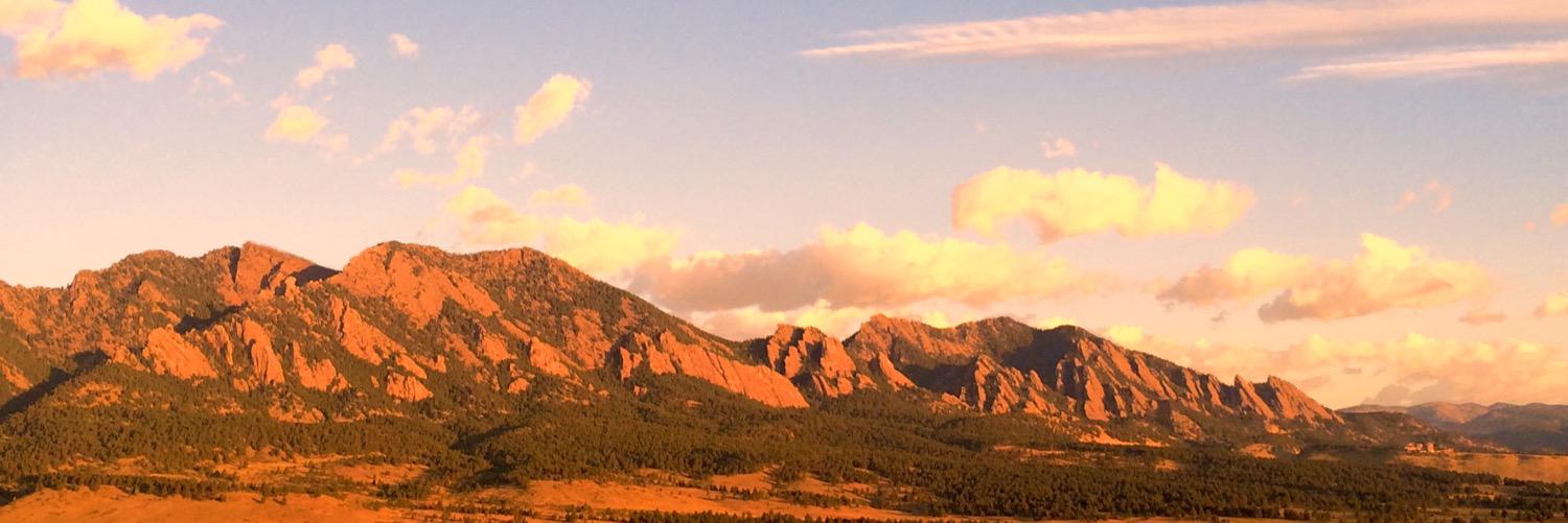 TweetDoodleBird's profile banner image