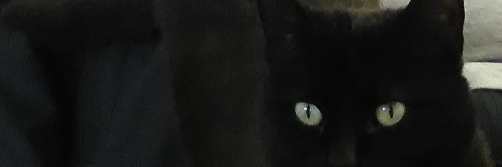 TrwsAsteia's profile banner image