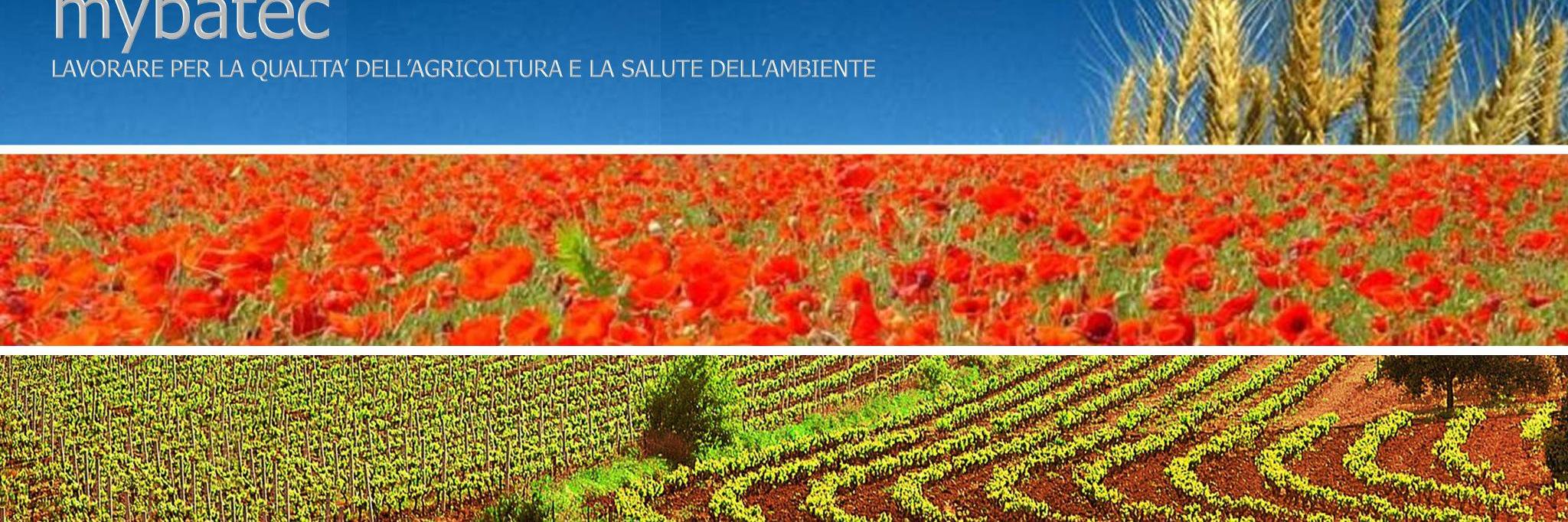 Mybatec banner