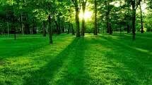 ab_dussalam's profile banner image