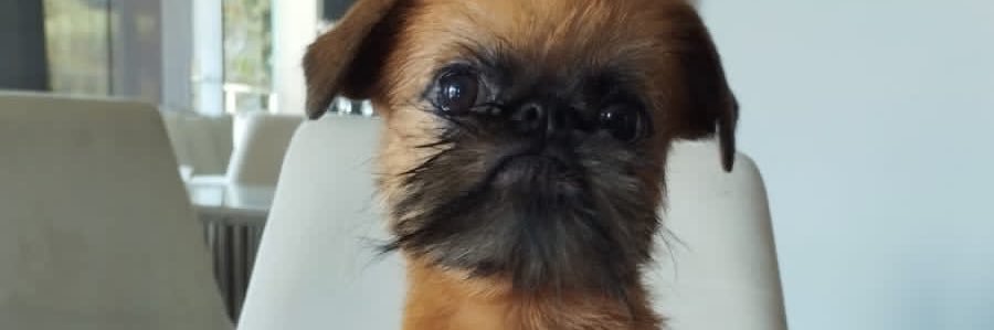 SandraOrtizN's profile banner image