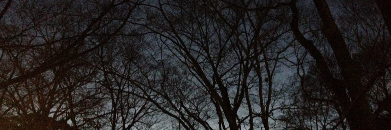 MitsuTak55's profile banner image