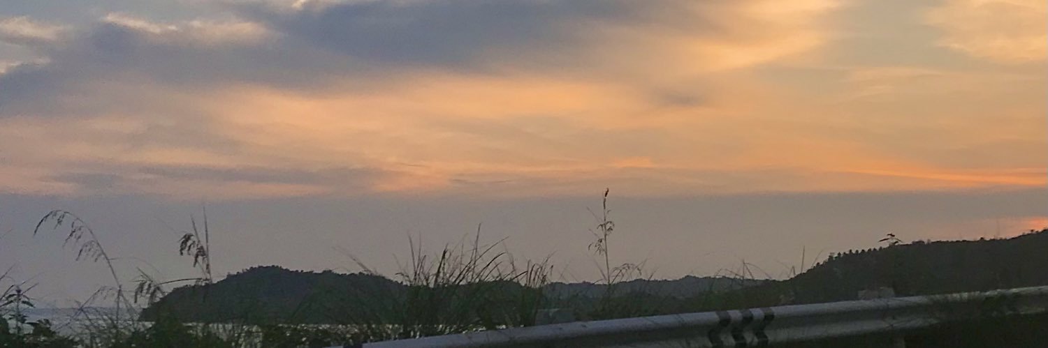 _Theweeese's profile banner image