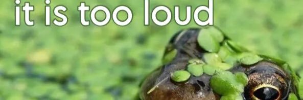 🦋's banner