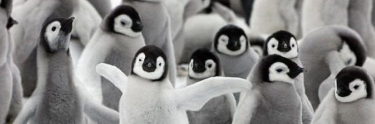 0911Mny's profile banner image