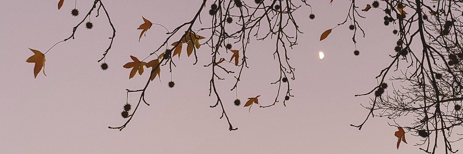 Sylvia Maria Gross banner