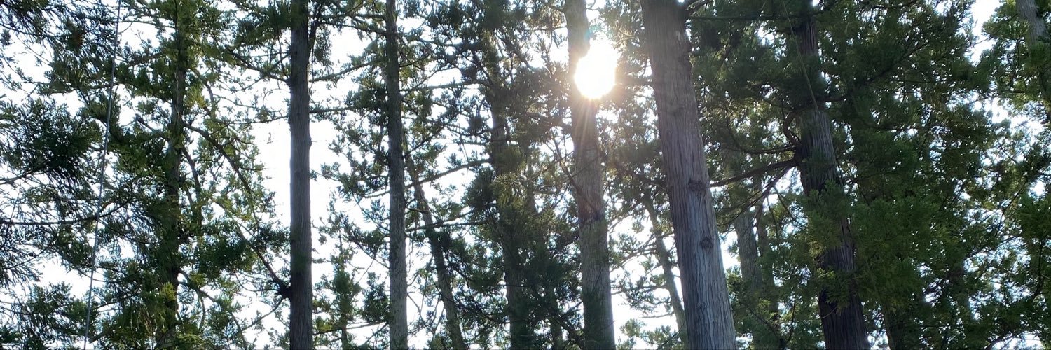 to_you_4's profile banner image