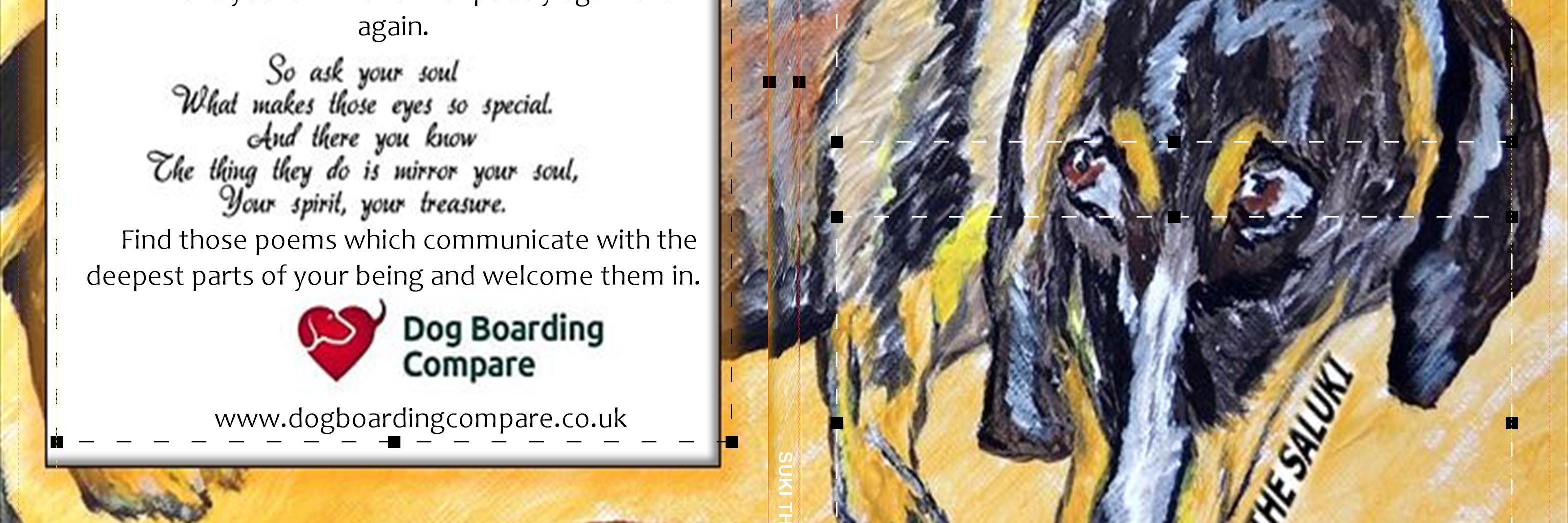 DogBoardingComp's profile banner image