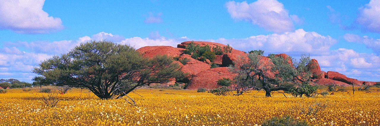 GasMurchPathway's profile banner image