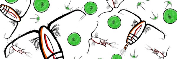 CatrinaNow Profile Banner