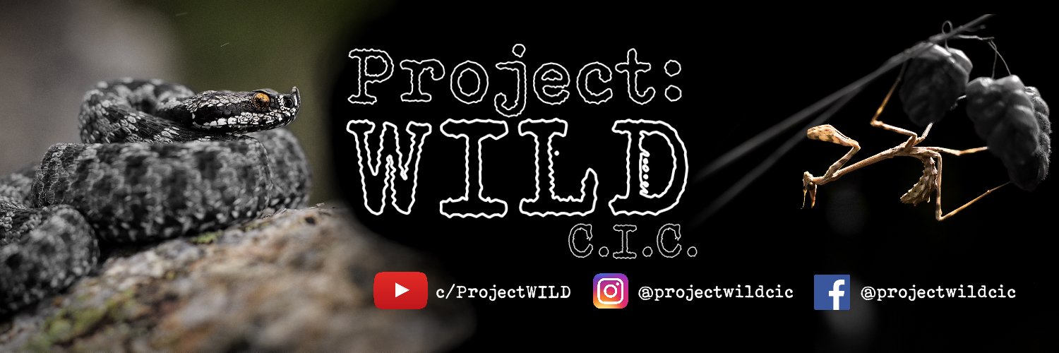 projectwildcic's profile banner image