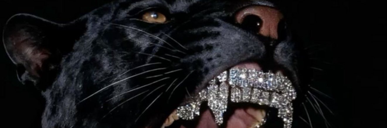 beenliveJay's profile banner image